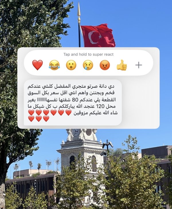 سالي من نابلس 