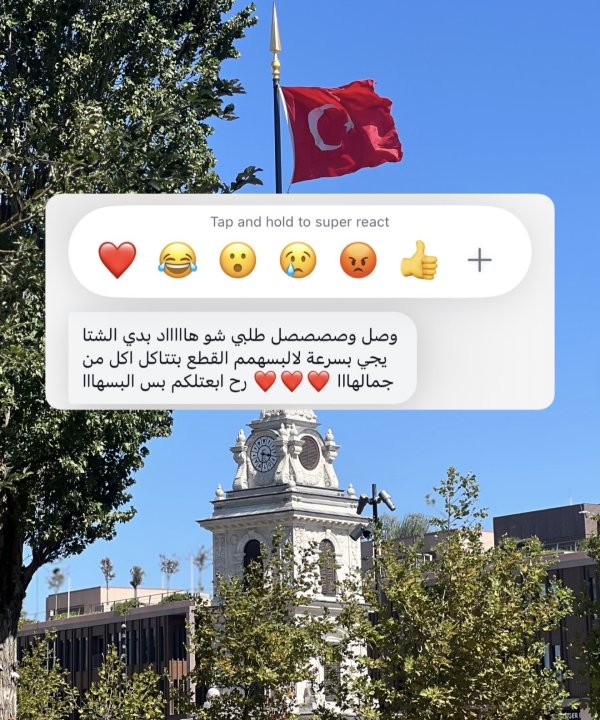 داليا من رام الله 